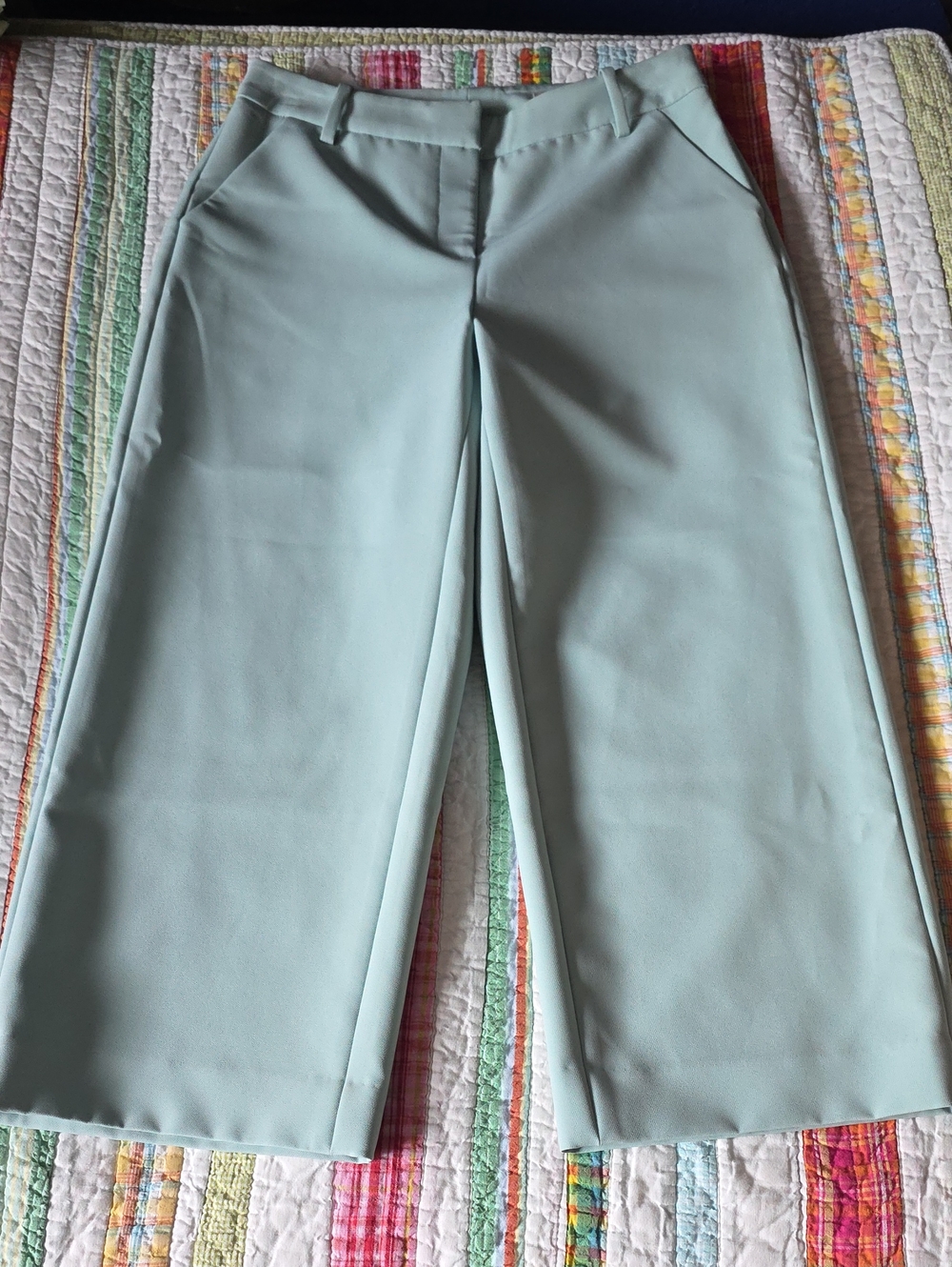 Halogen Mint Green Cropped Trousers Size 2P